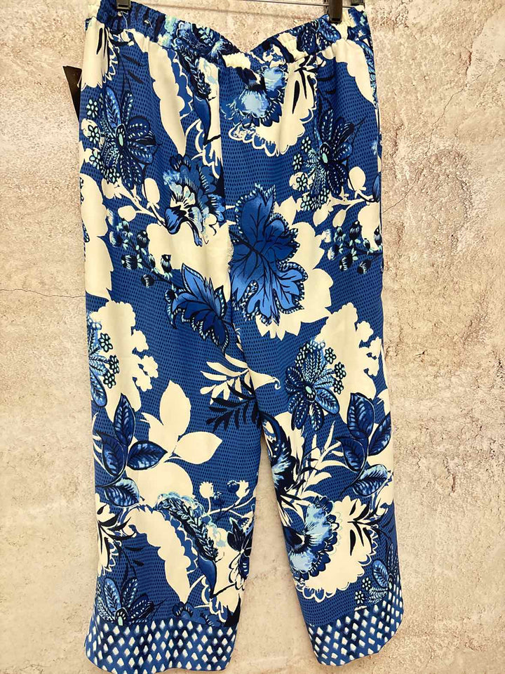 Women Size 1 Chicos Blue casual