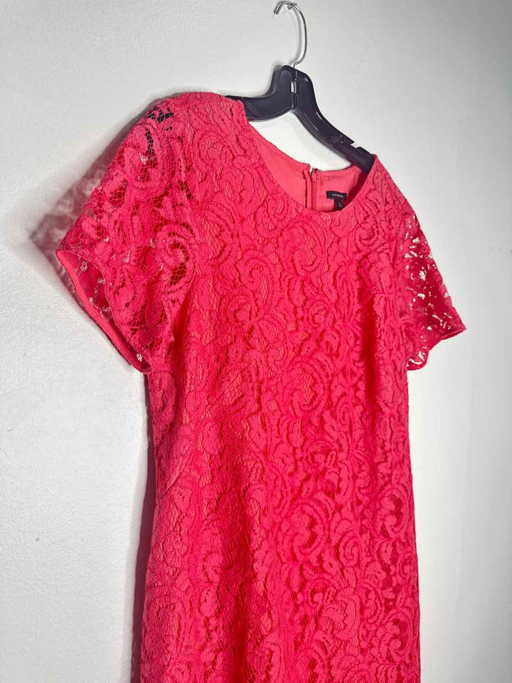 Ann Taylor Size 12 Pink Solid short sleeve
