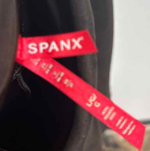 Women Size L Spanx Brown crop pant