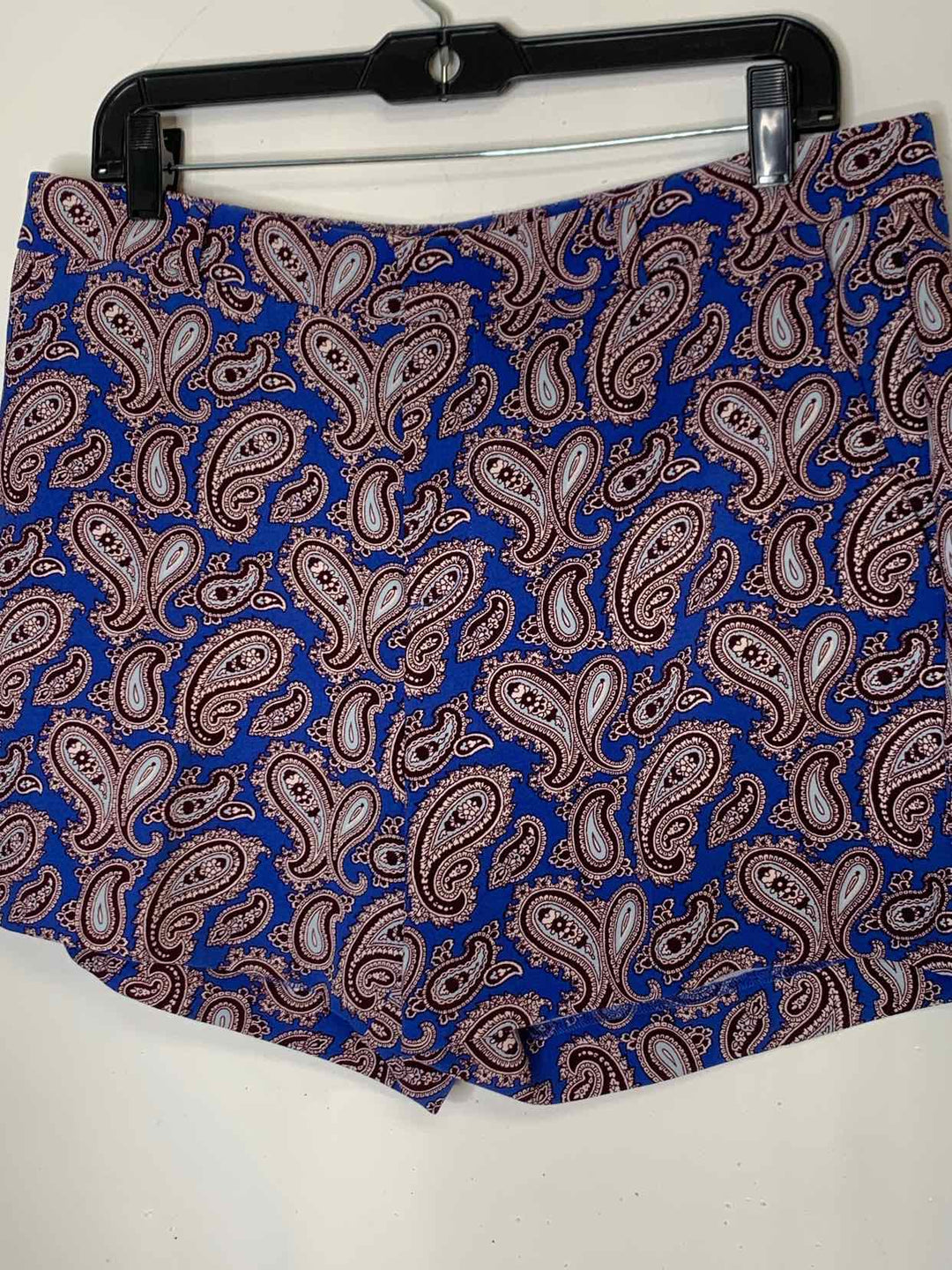 Banana Republic Size 10 Blue Shorts