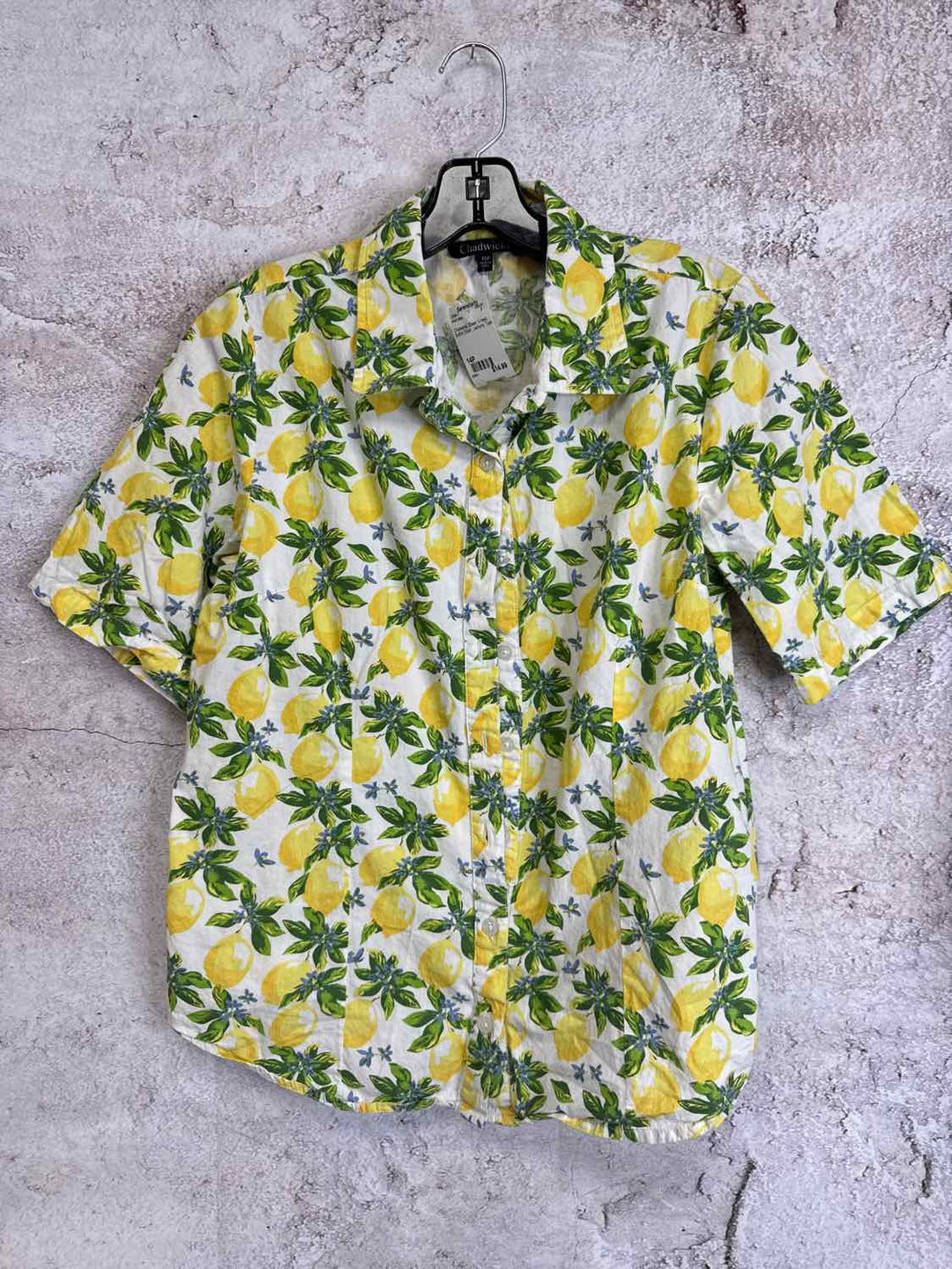 Chadwicks Size 14P Green V-neck Lemons short sleeve top