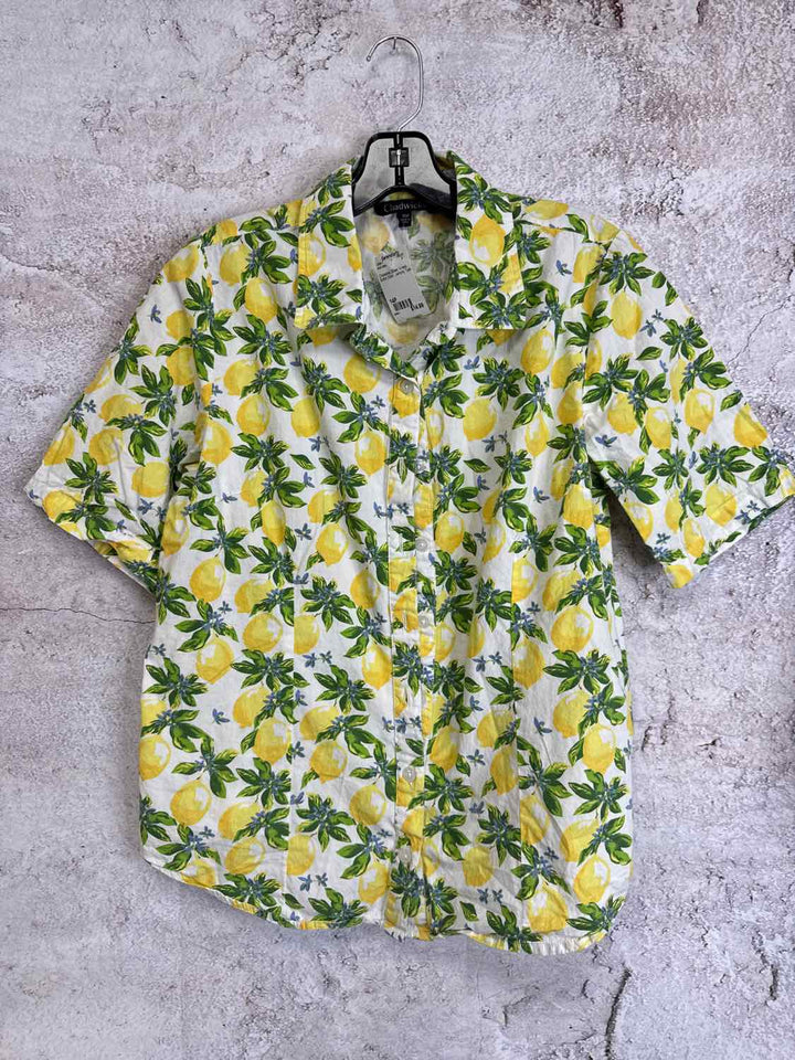 Chadwicks Size 14P Green V-neck Lemons short sleeve top
