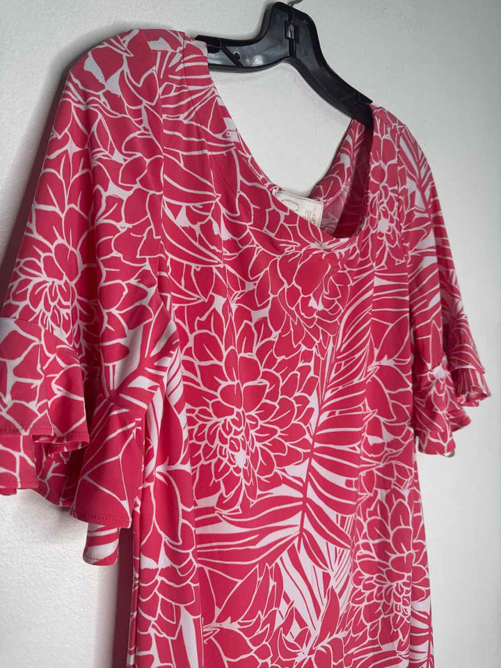 Pappagallo Size L Pink NWT White long sleeve dress