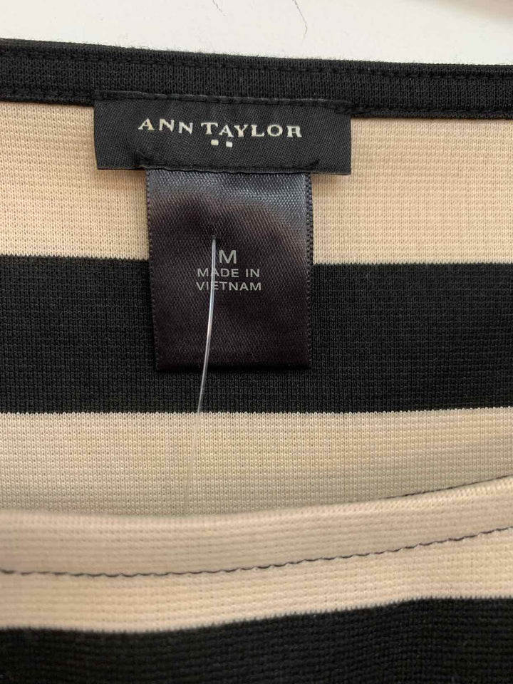 Ann Taylor Size M Striped long sleeve top