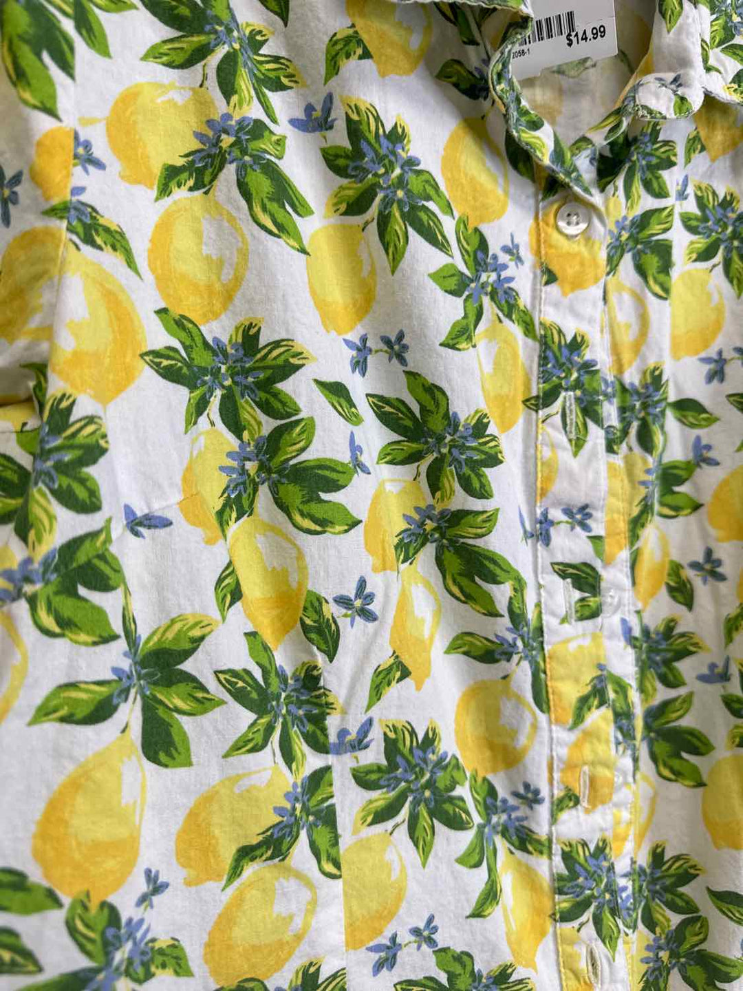 Chadwicks Size 14P Green V-neck Lemons short sleeve top