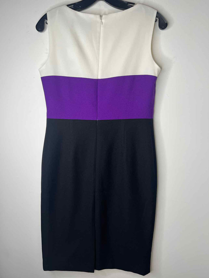 Women Size 4 Black Label purple sleeveless dress