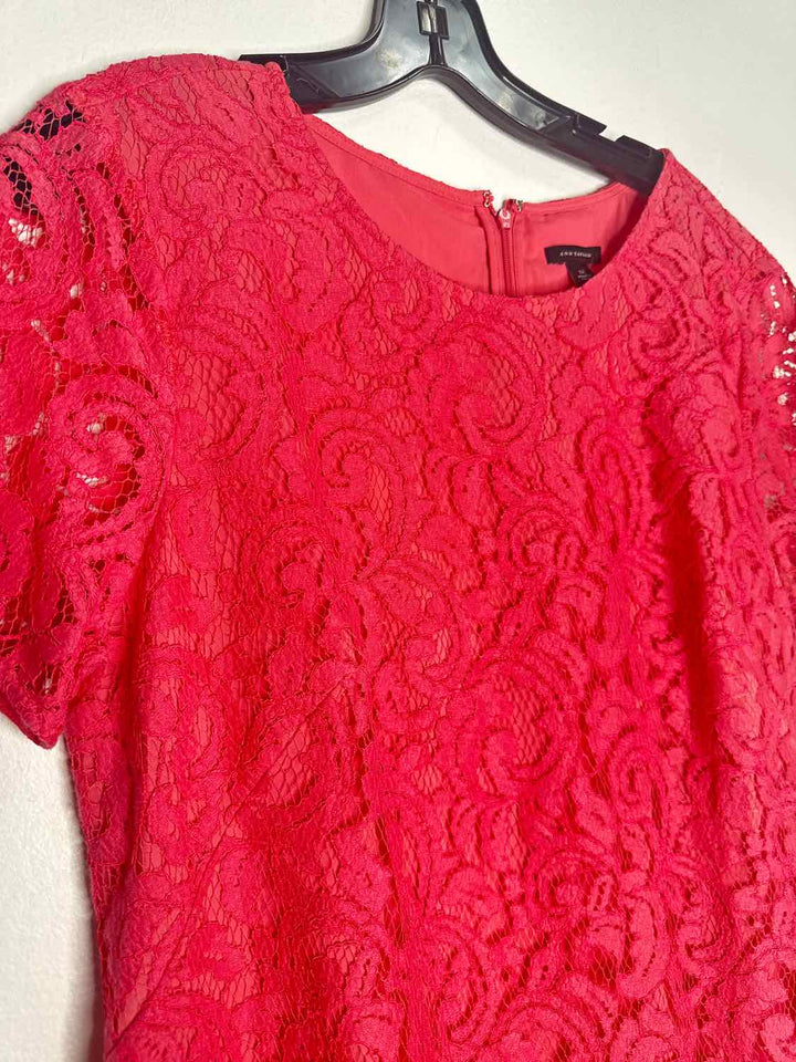 Ann Taylor Size 12 Pink Solid short sleeve