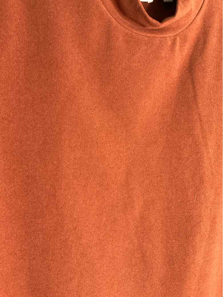 Cyrus Size M Brown High Neck short sleeve top