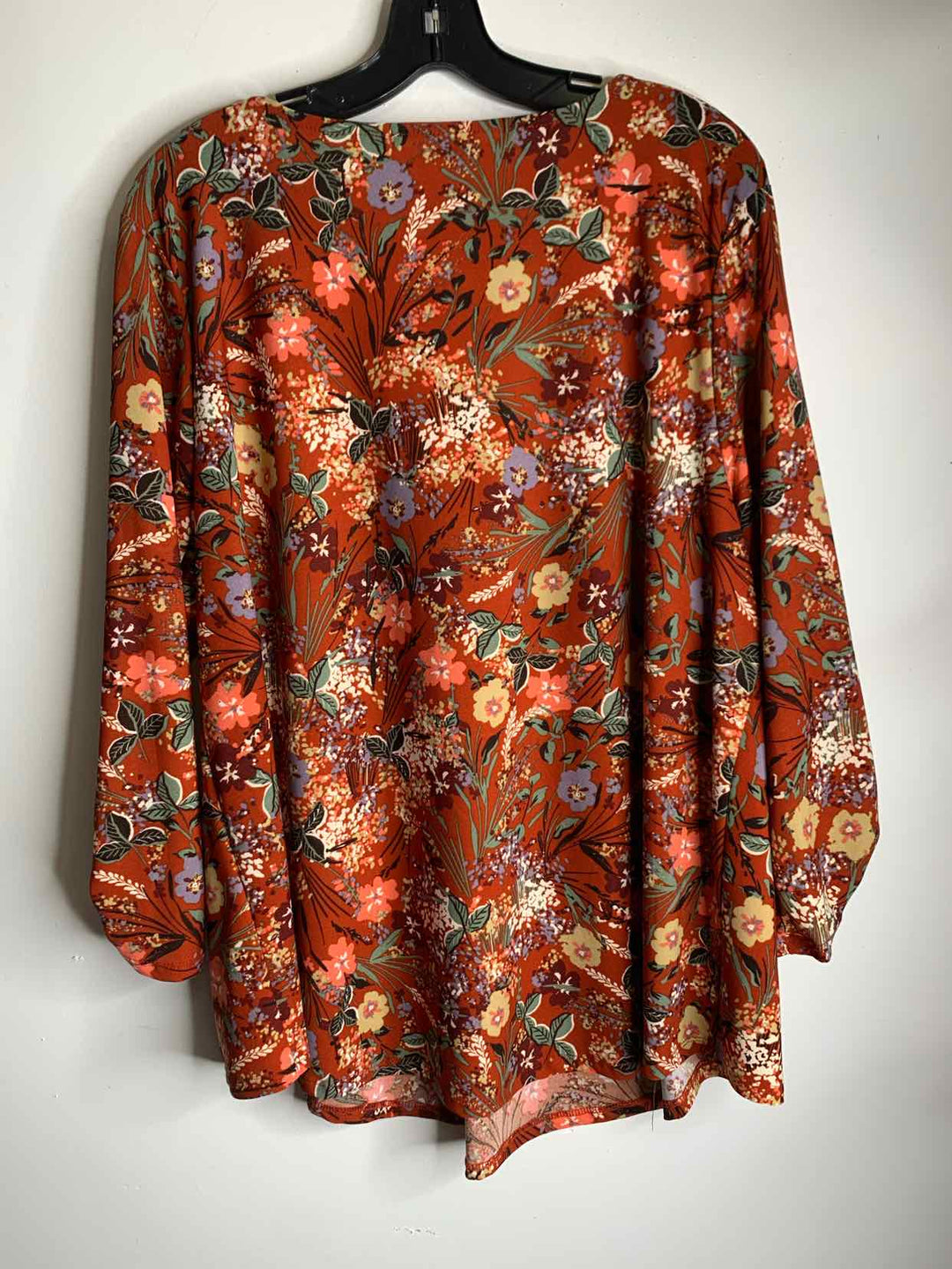 Cure Women Size 2X rust long sleeve top