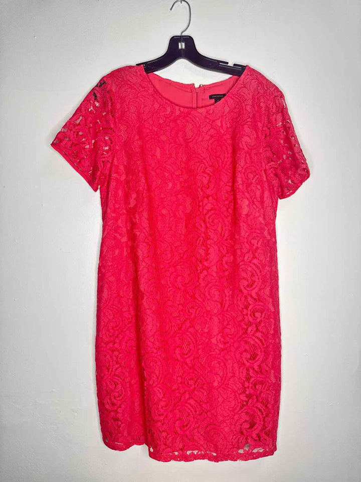 Ann Taylor Size 12 Pink Solid short sleeve
