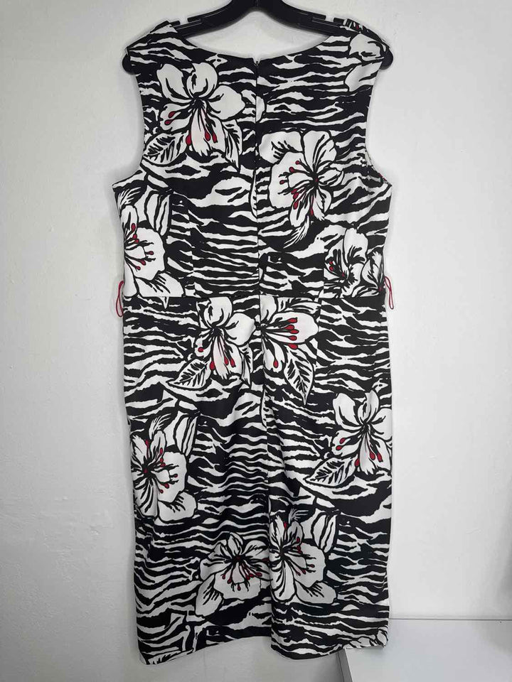 Dress Barn Size 16 Black Floral sleeveless dress