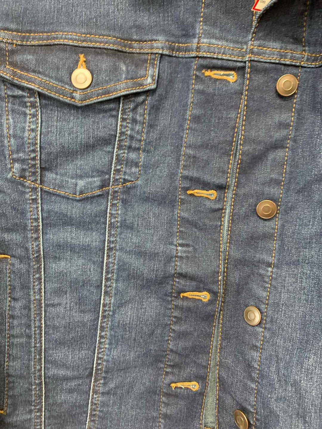 Time & Tru Blue Women Size XXL jacket