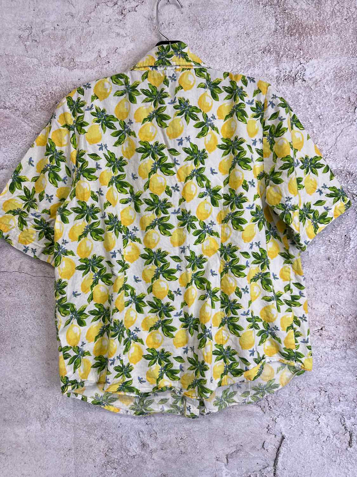 Chadwicks Size 14P Green V-neck Lemons short sleeve top